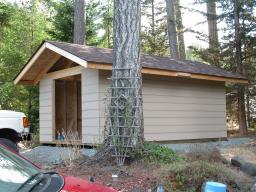 new shed - day 18